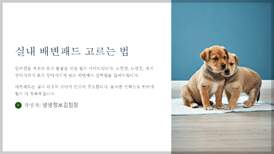 강아지 배변 실수 방지 패드 트레이 추천