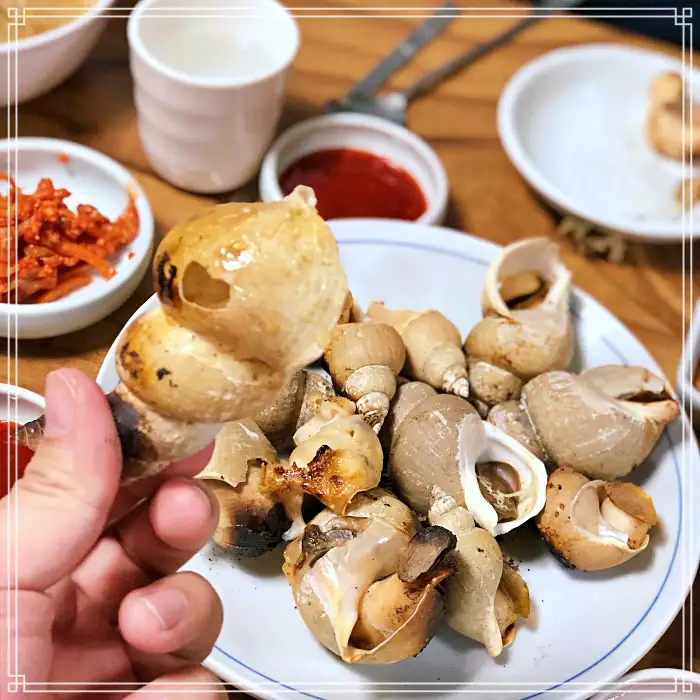 TBJ 생방송투데이 포항 구룡포시장 전국 택배 주문 백고둥구이 맛집
