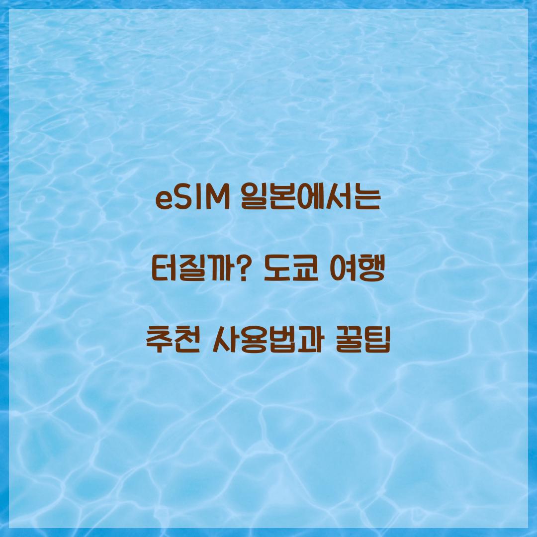 eSIM 일본에서는 터질까