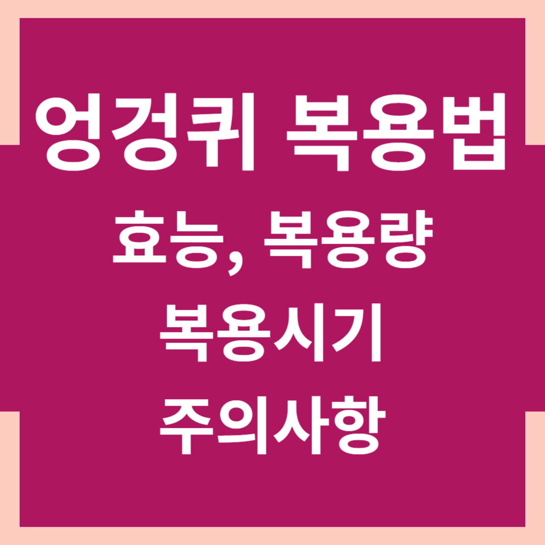 엉겅퀴 복용법
