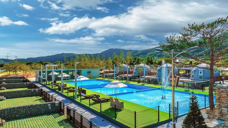 가평 반려견 캠핑장 '아워포레스트' 미리보기