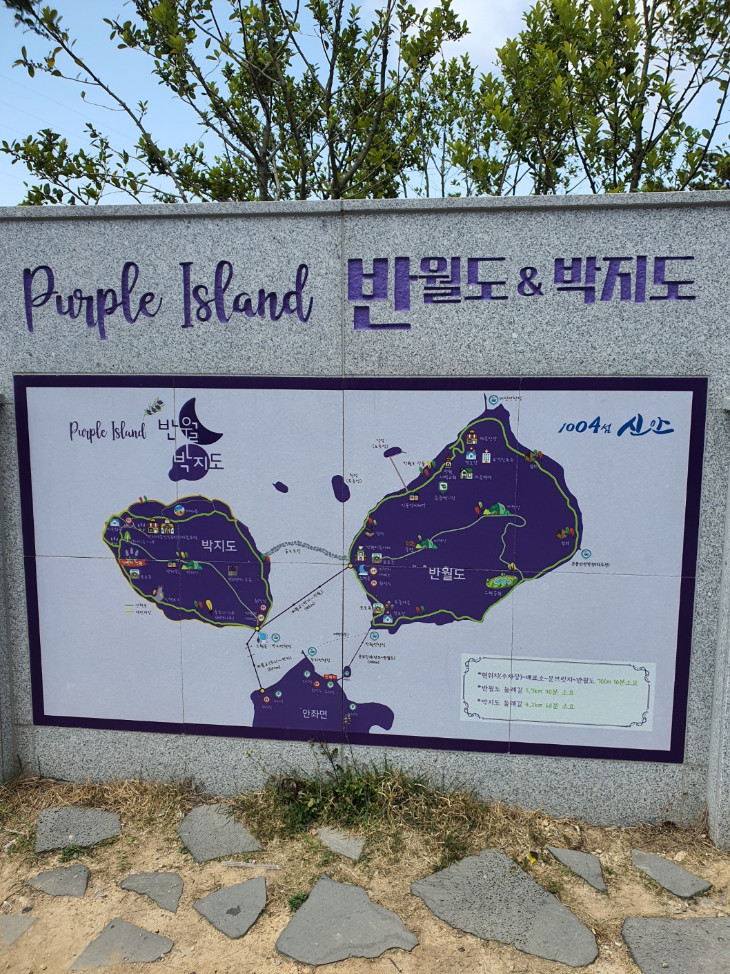 퍼플섬 반월도 박지도 여행 