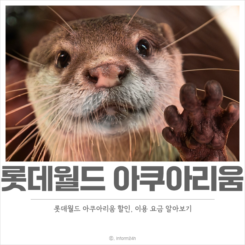롯데월드-아쿠아리움-할인-요금-운영시간