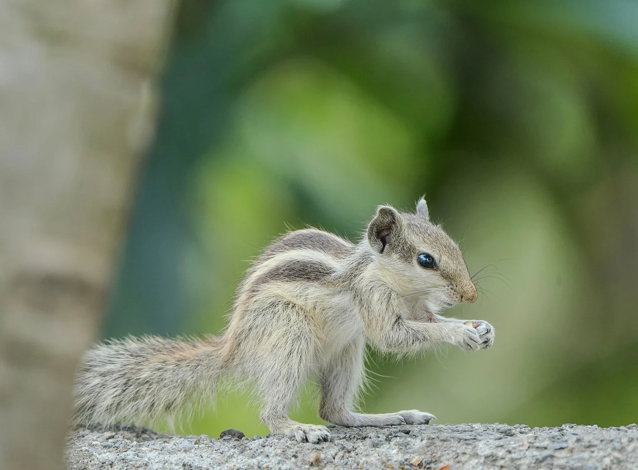 송파구 9시 이후 늦게까지 운영하는 맛집 Best4