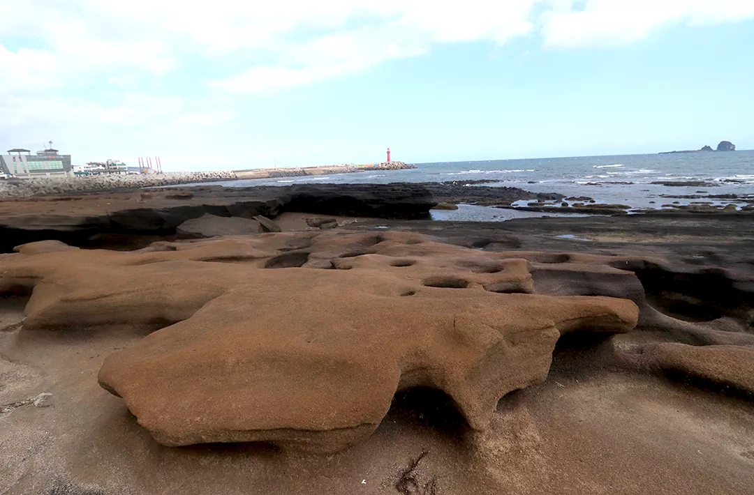 제주 올레길 10코스 올레길 전코스 완주자가 추천하는 제주 올레길 최고의 코스 가이드