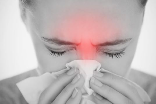 에키나시아-프로텍트정-효능