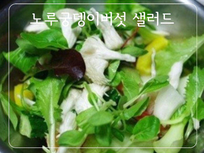 노루궁뎅이버섯 샐러드