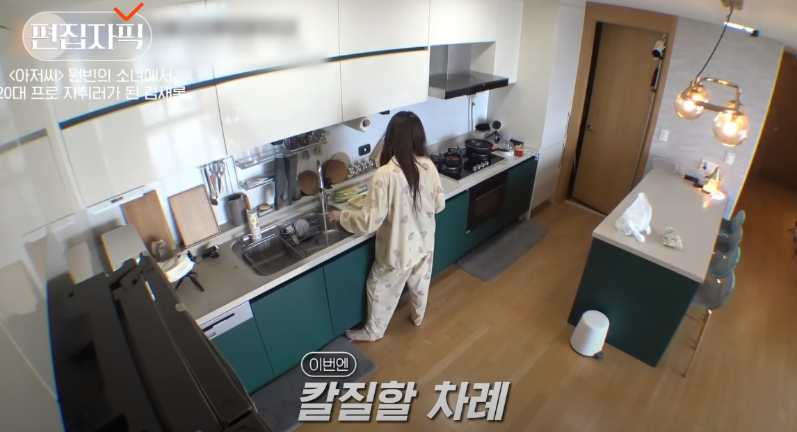 방송에 나왔던 김새론집