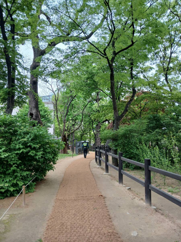 덕수궁 내부 보행로