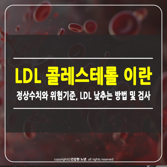 LDL 콜레스테롤 이란 썸네일