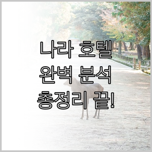 나라 호텔 완벽 분석 위치, 가격, 