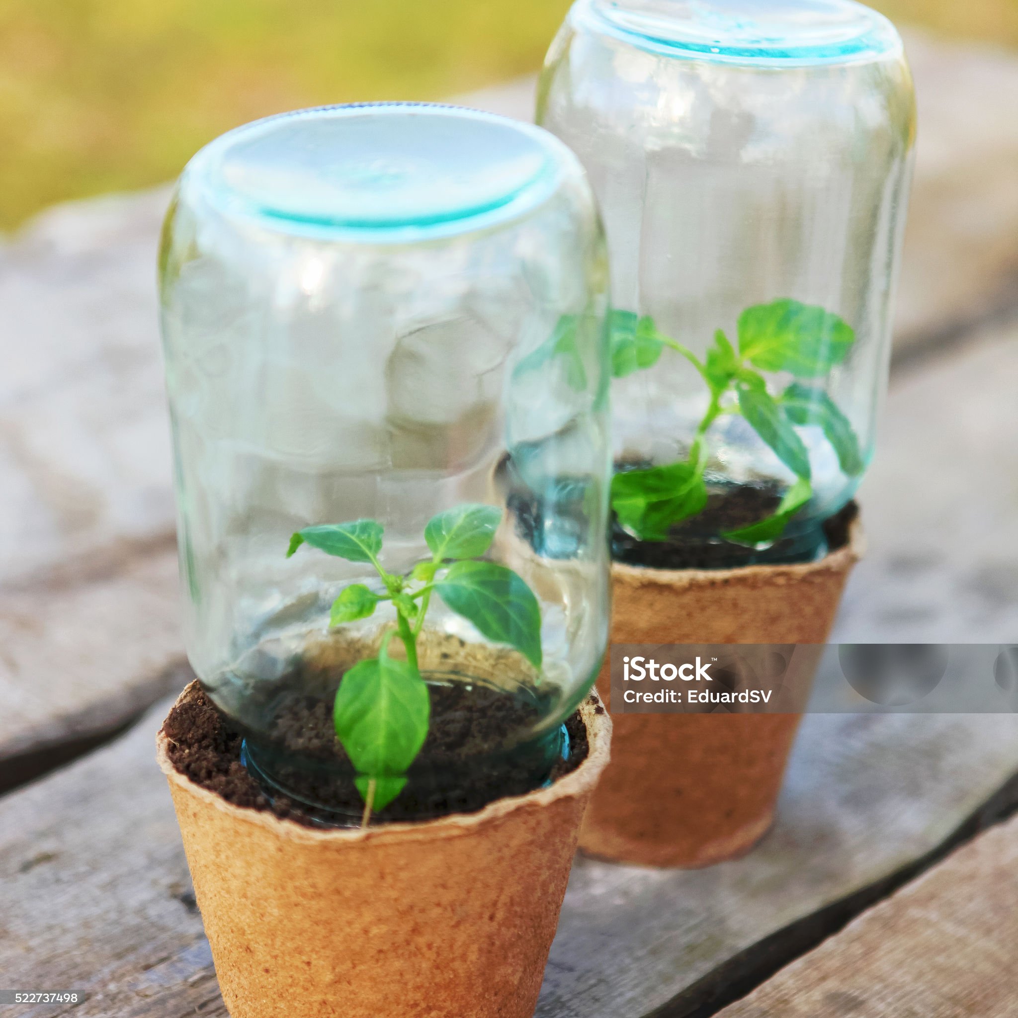 도시형 스마트팜