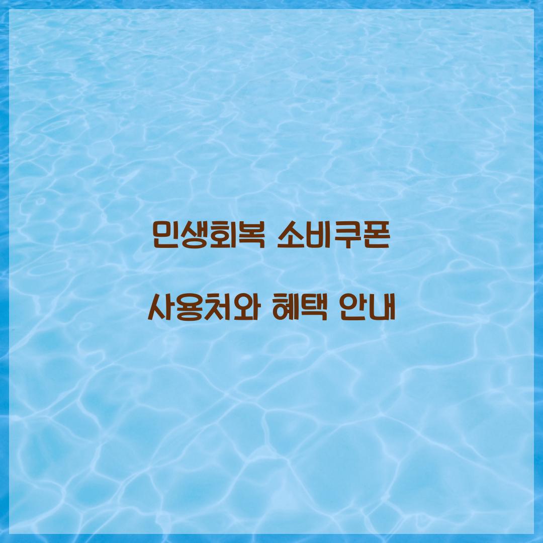 민생회복 소비쿠폰
