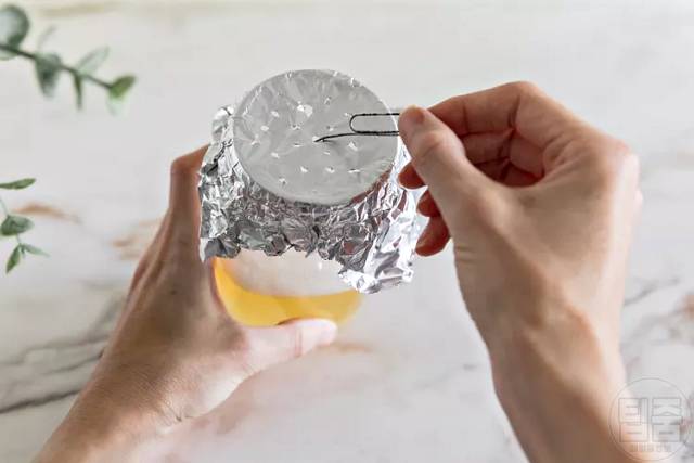 초파리 없애는법 사과식초 초파리트랩 역효과 구멍