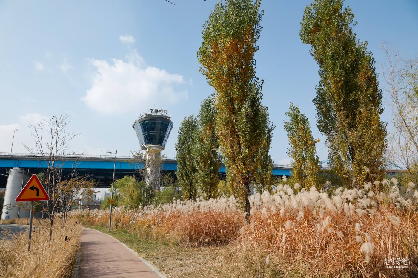 반려견과 가기 좋은 서울 가을 산책 코스