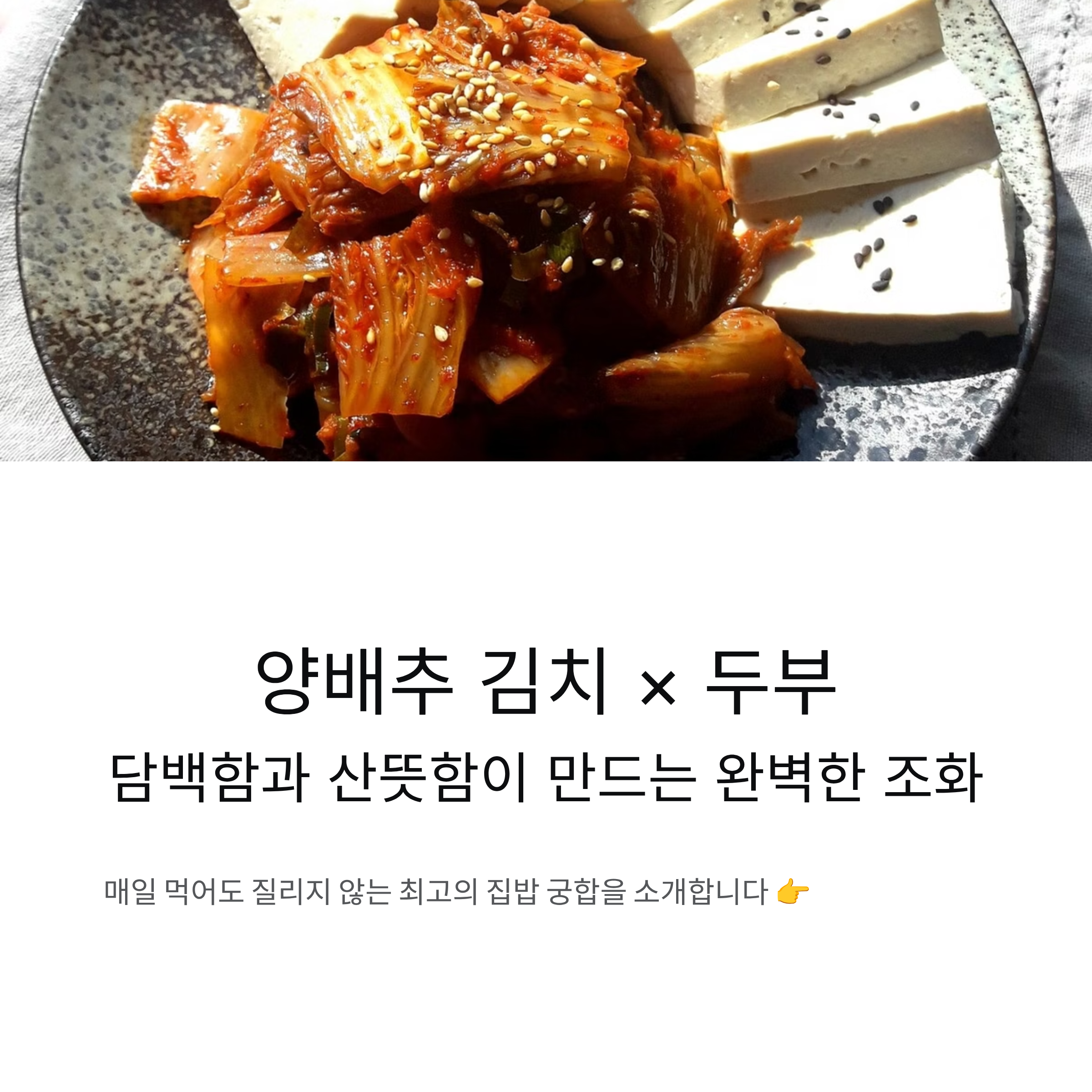 양배추 김치와 두부가 만나면 궁합이 딱 맞는 이유