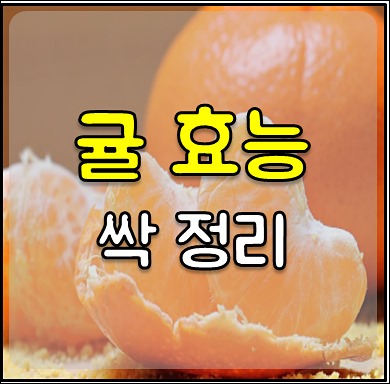 귤 효능 1