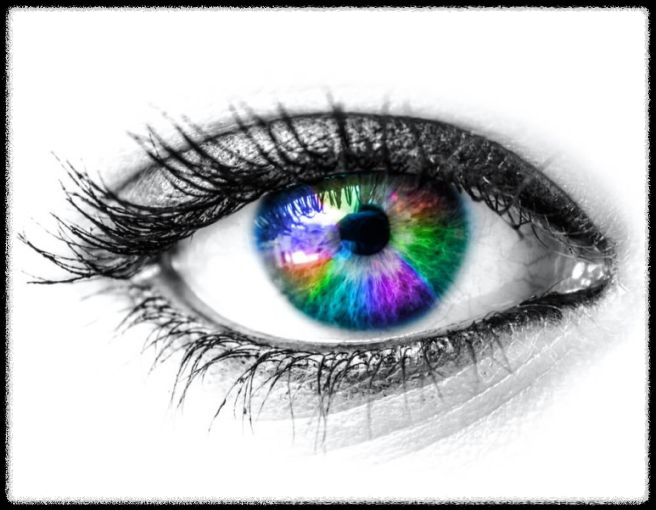 눈건강을 지켜라: 디지털 시대의 필수 과제