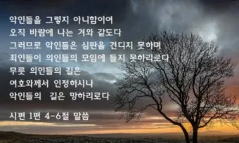시편 1편 설교 아이디어 묵상 말씀 준비_23