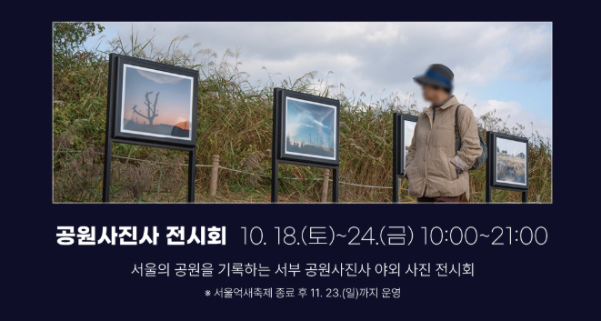 서울억새축제 2025 가이드