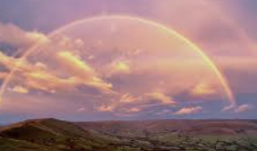 ISTP 유형 특징 분석