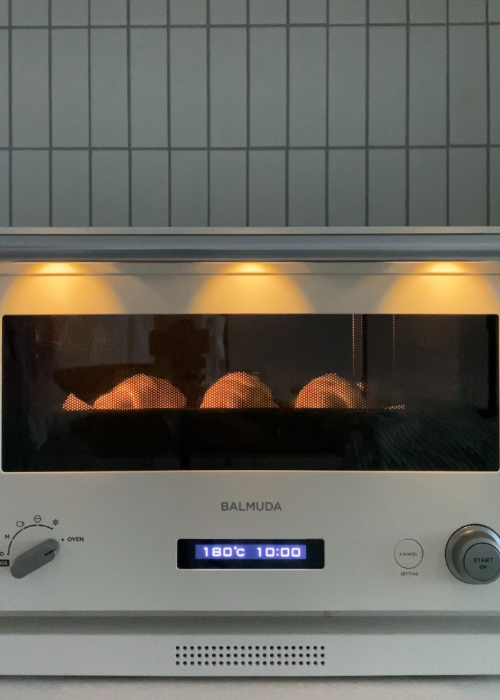 발뮤다 더레인지