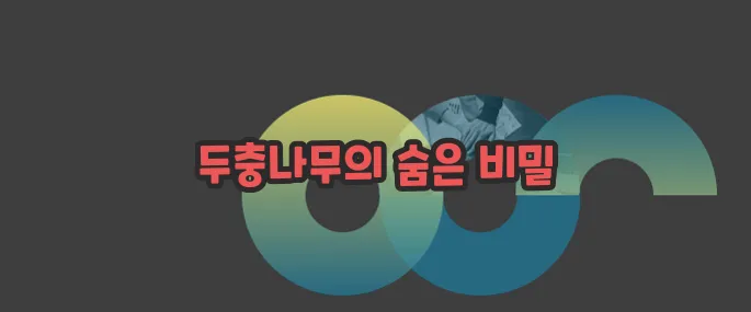 두충나무껍질 효능 자세히 알아볼게요