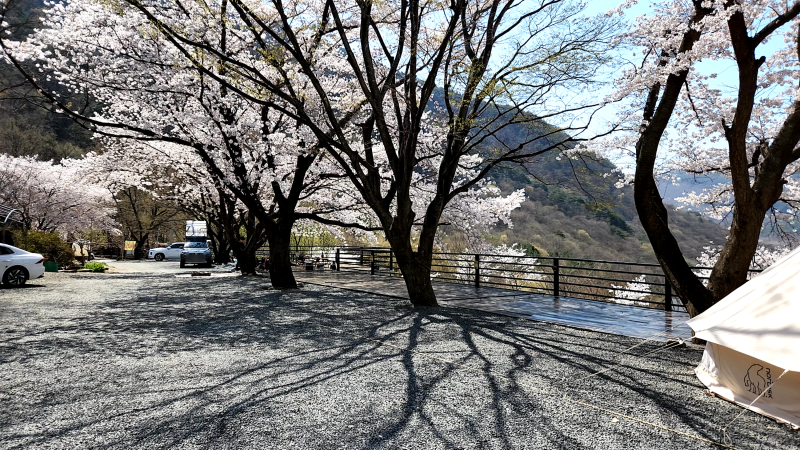 경남 밀양 미르오토캠핑장