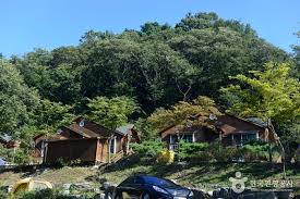 용인 가볼만한곳 - 용인자연휴양림