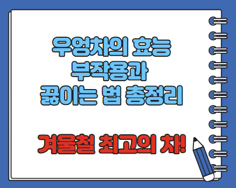 우엉차 효능 9가지 부작용 끓이는법 총정리 (2024)