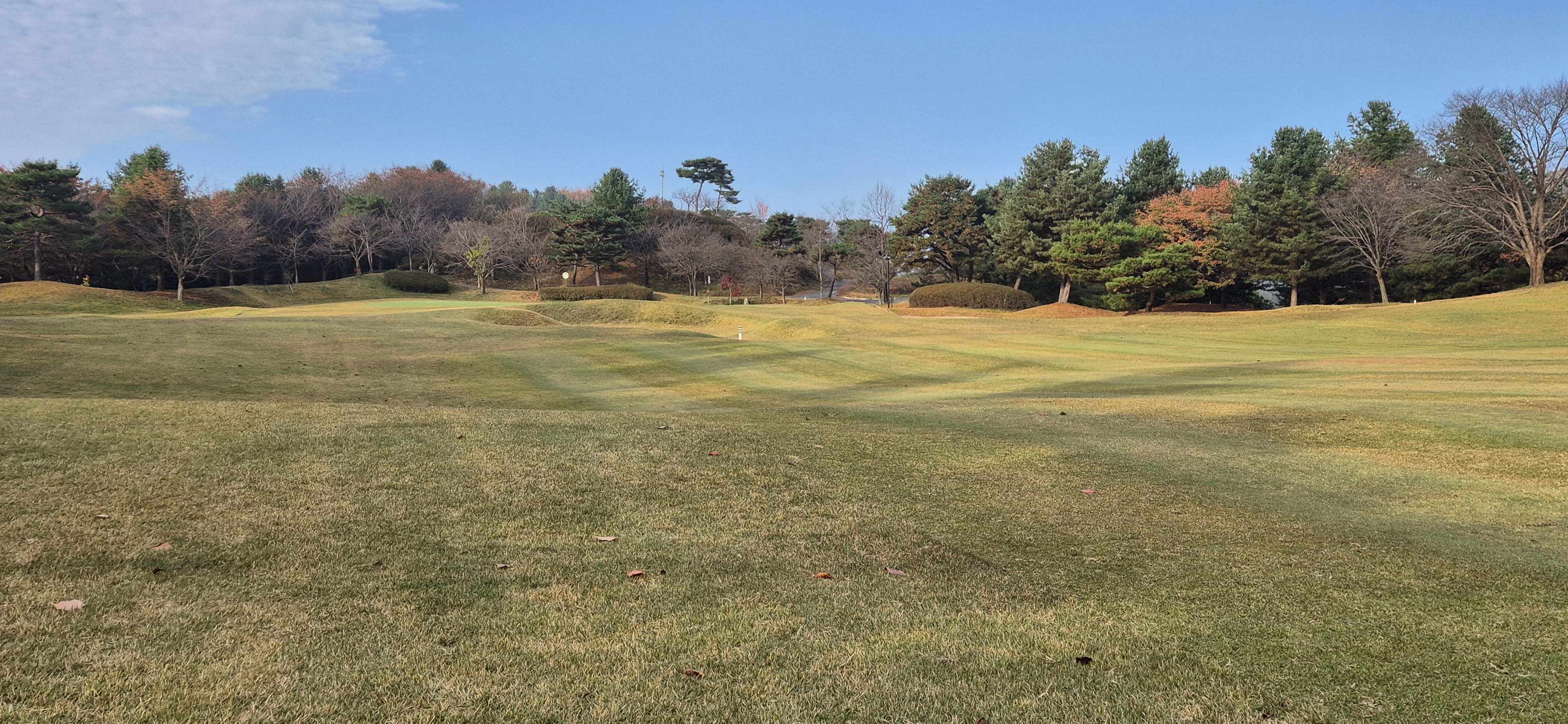 시그너스cc 라미코스 사진 및 공략 정보