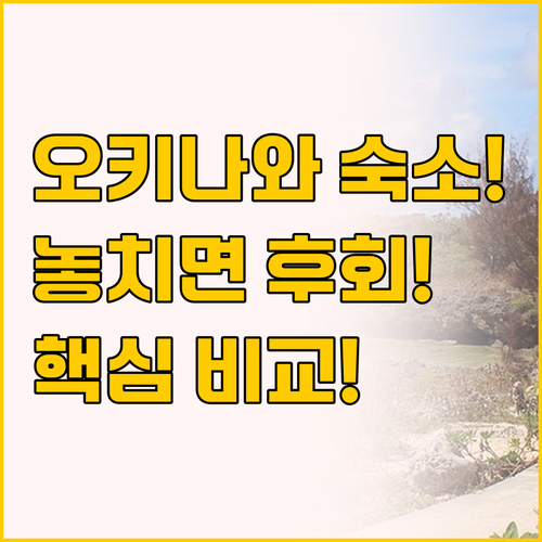 국제거리 도보권 알몬트 호텔 vs 공..
