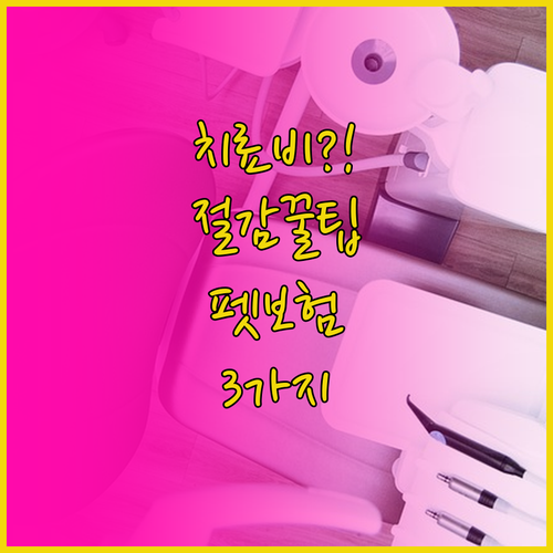 반려견 치과 치료비 절감, 펫보험 선..