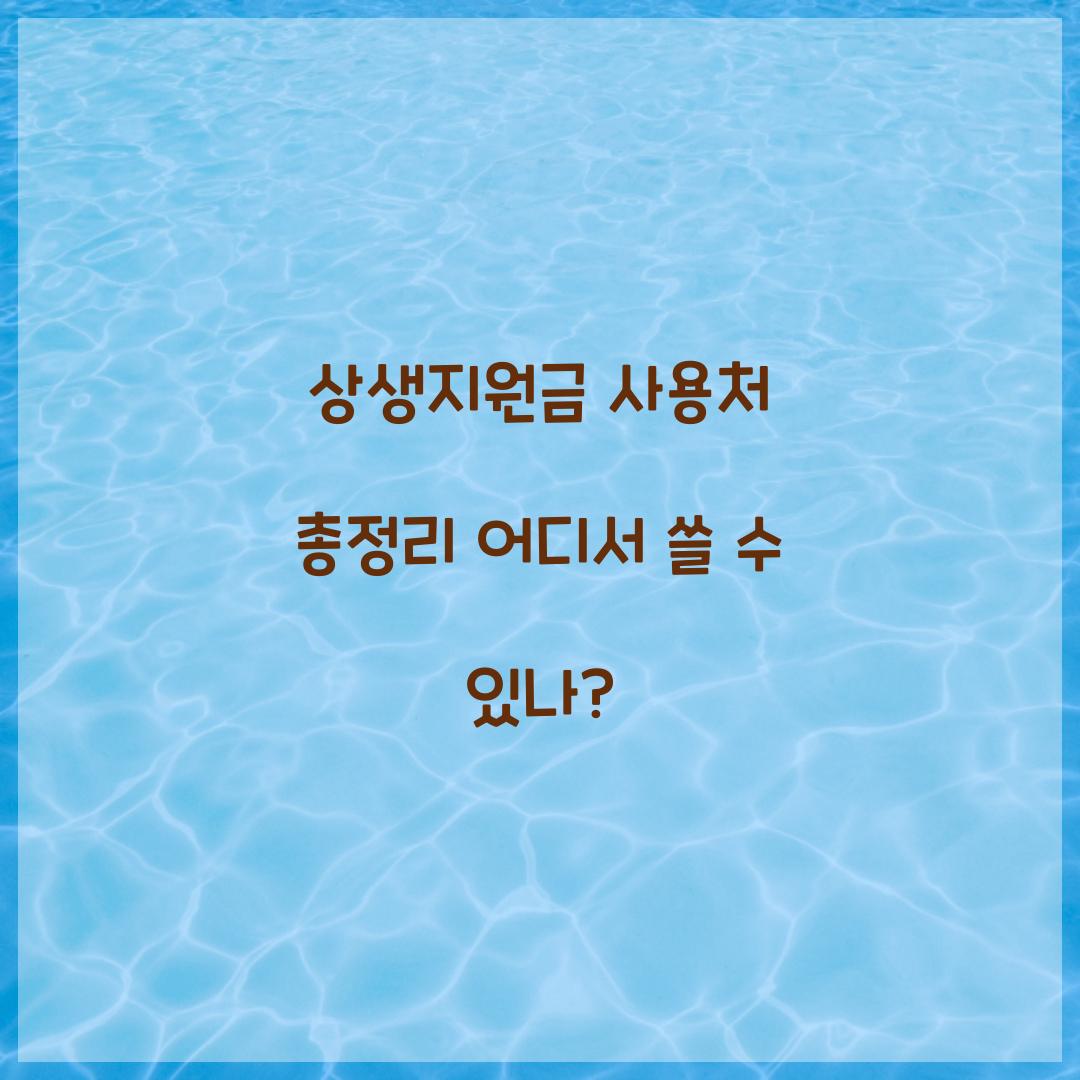 상생지원금 사용처