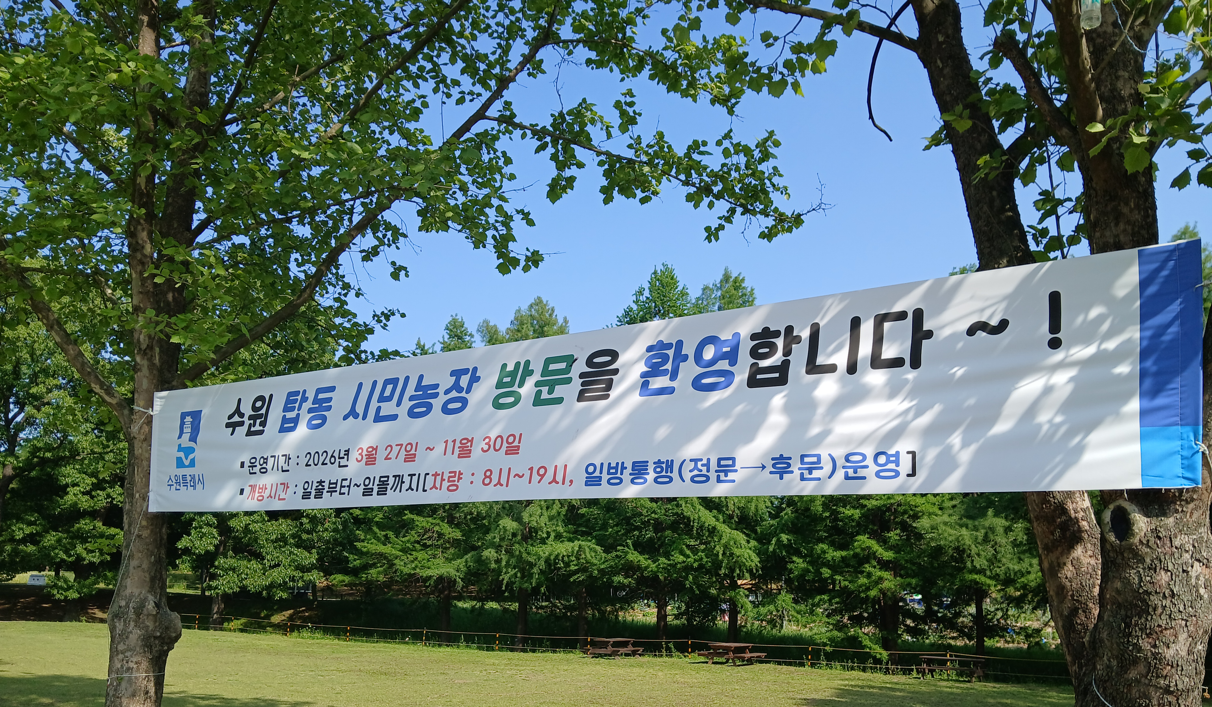 내부 차량 동선은 일방통행으로 운영되고 있었습니다