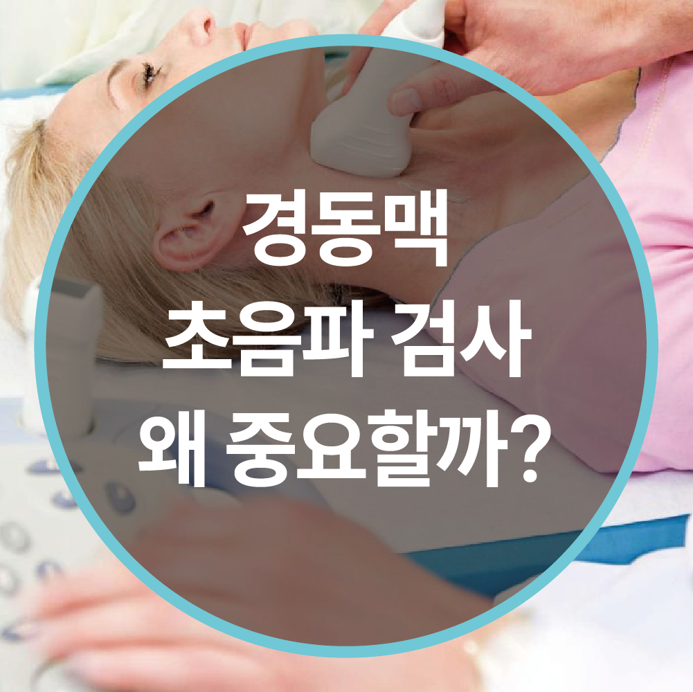 경동맥 초음파 검사, 왜 중요할까요? 뇌졸중 예방을 위한 필수 건강 체크!