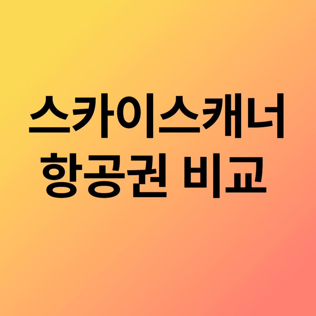 스카이스캐너 관련사진