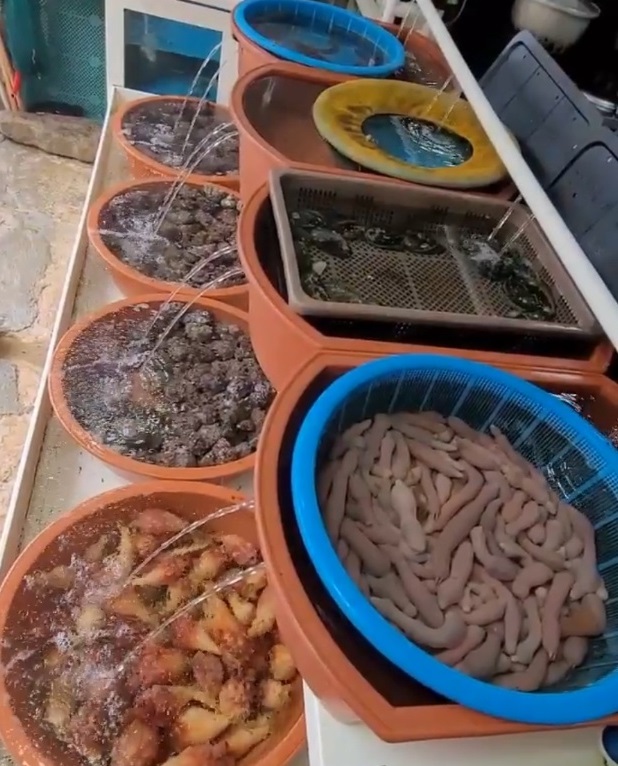 전현무계획-부산-5번친구해녀할매집
