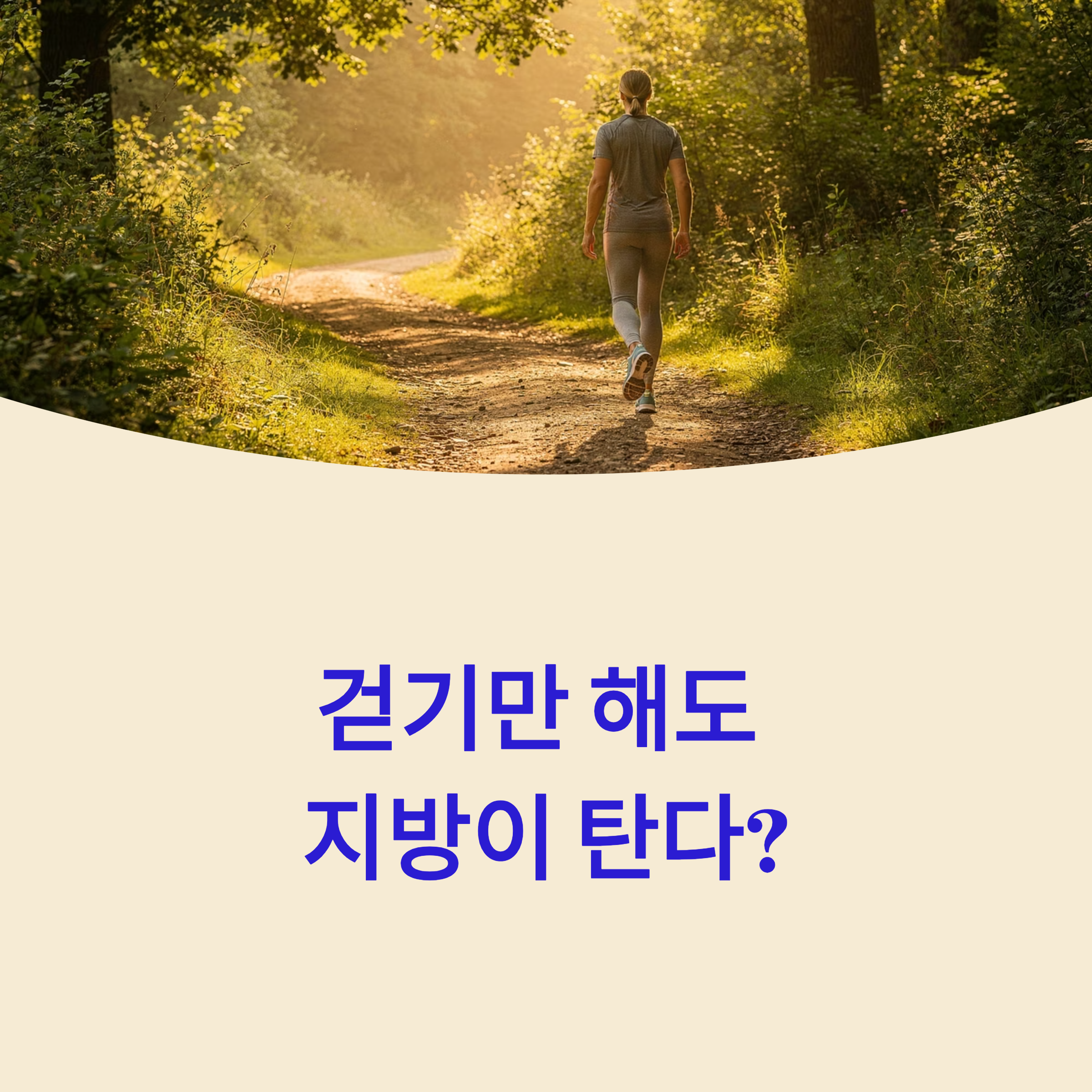걷기 운동으로 대사 체온 상승|체온 변화가 지방 연소를 좌우하는 과학적 원리와 효과적인 다이어트 비밀