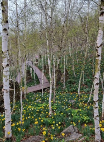 2025 화담숲 사전예약 마감