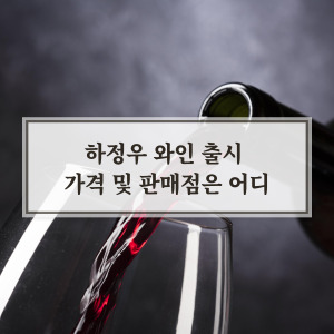 하정우 와인