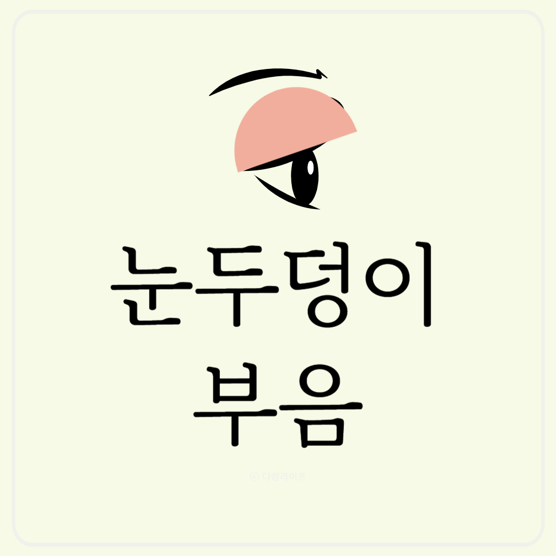 눈두덩이 부음 눈꺼풀 붓기 빨갛게 부음