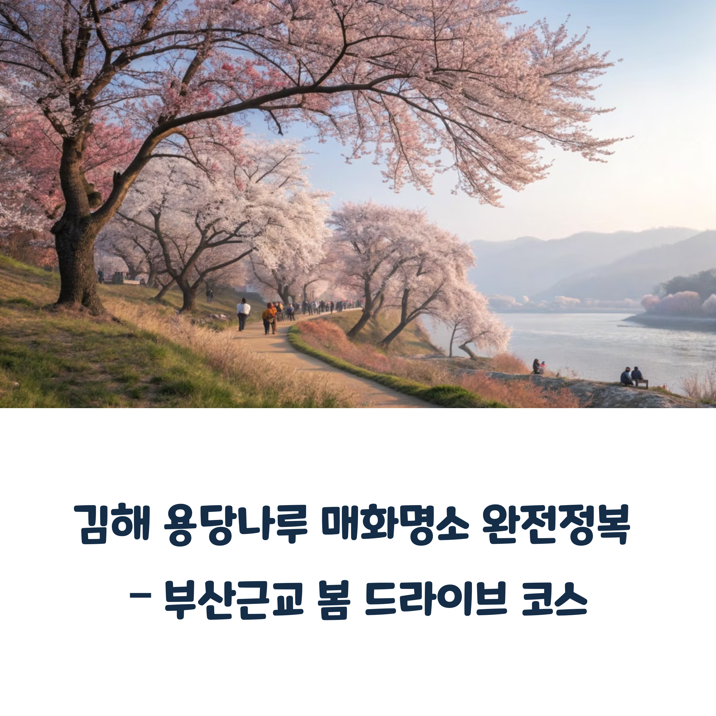 김해 용당나루 매화명소 완전정복 – 부산근교 봄 드라이브 코스