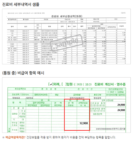 보험금청구에필요한서류진료비세부산정내역서