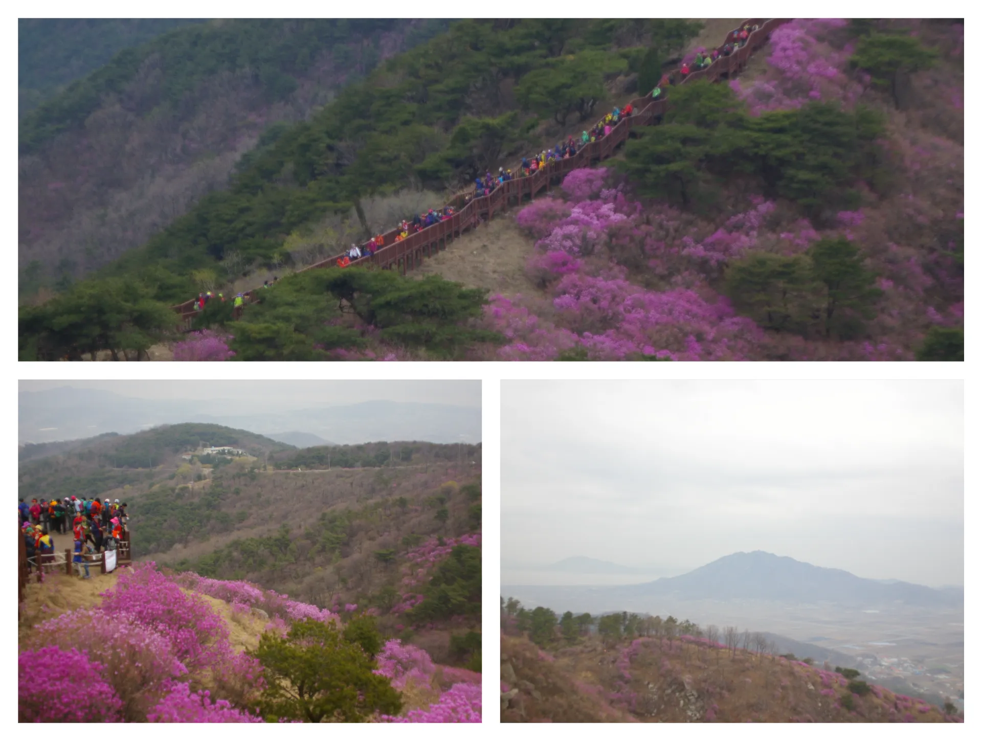 봄 고려산
