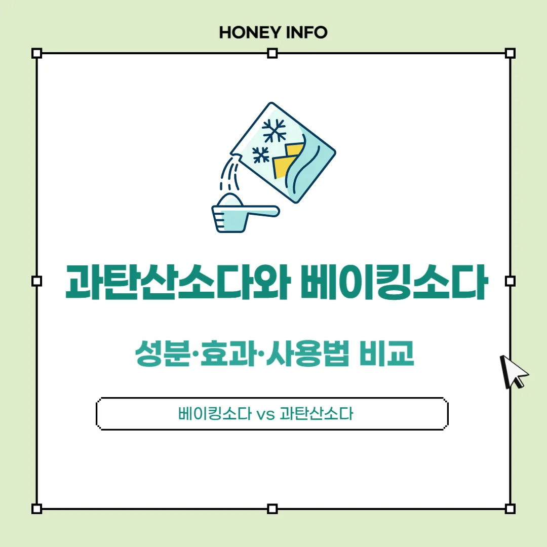 과탄산소다와 베이킹소다 차이점