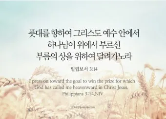 빌립보서 1장 6절 묵상 - 너희 안에서 착한 일을 시작하신 이가 그리스도 예수의 날까지 이루실 줄을 우리는 확신하노라_5