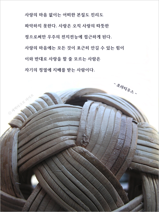 세팍타크로명언