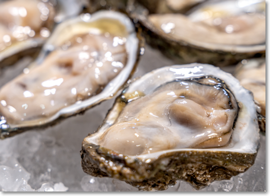 9월-제철-해산물