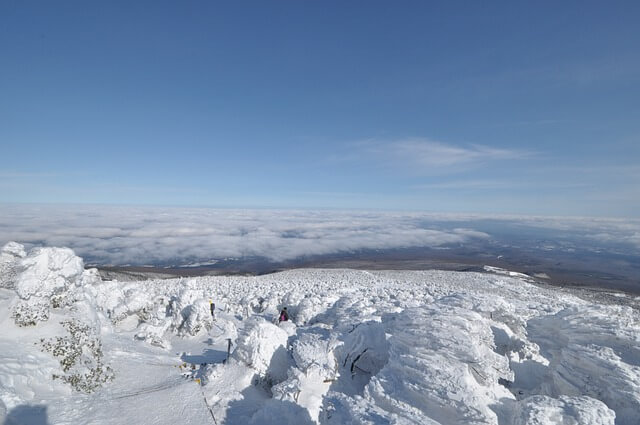 한라산 탐방예약